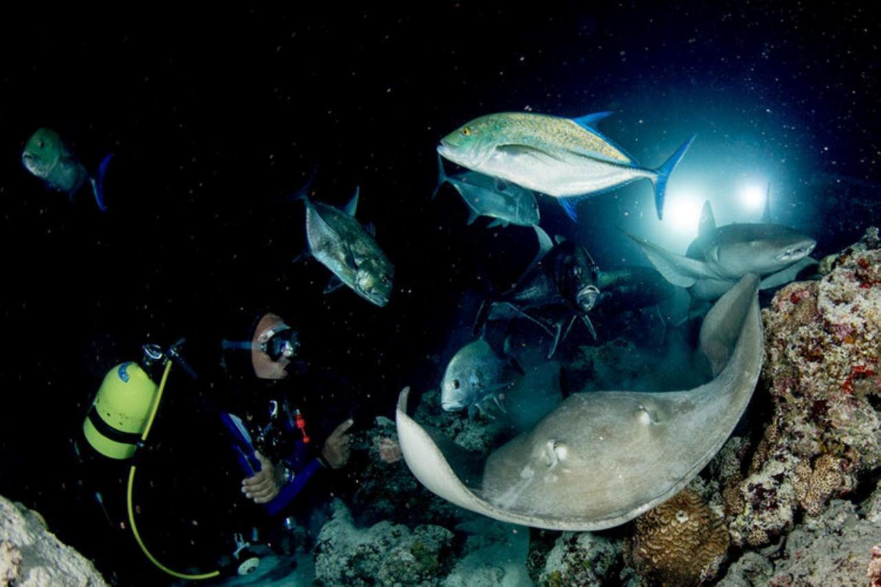 Hotel And Dive Center Roatan Yacht Club French Harbour Bagian luar foto