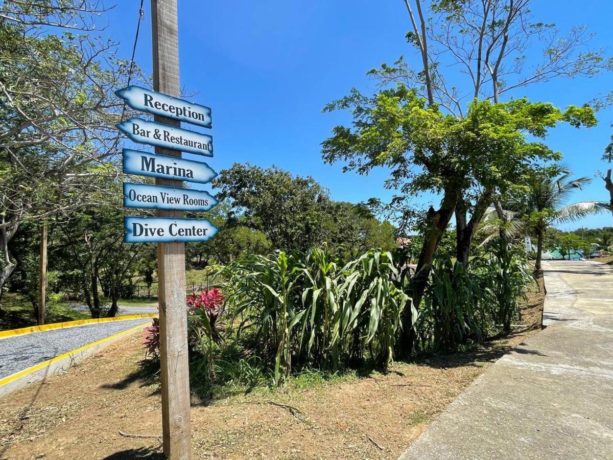 Hotel And Dive Center Roatan Yacht Club French Harbour Bagian luar foto
